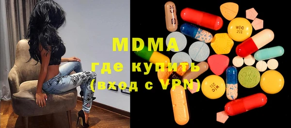 индика Гусь-Хрустальный