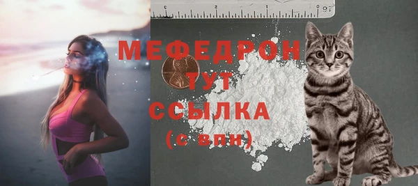 индика Гусь-Хрустальный
