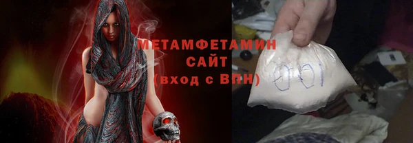 индика Гусь-Хрустальный