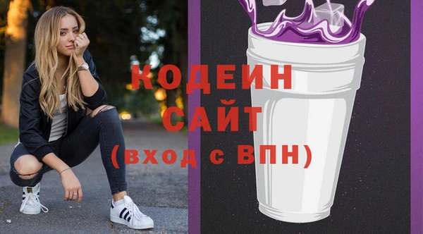 индика Гусь-Хрустальный
