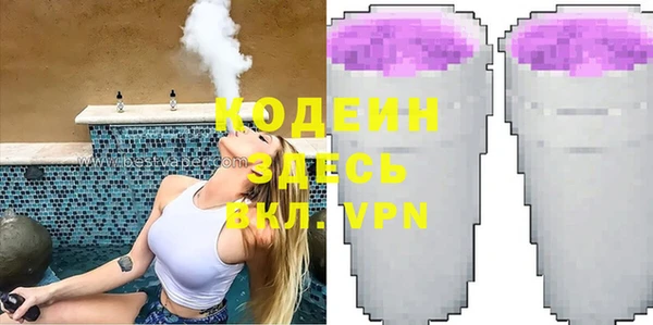 индика Гусь-Хрустальный