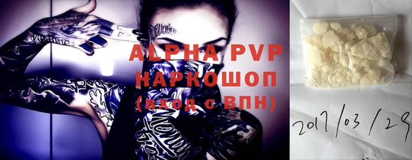индика Гусь-Хрустальный